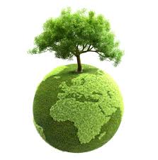 Green Climate World Faydalı Bir Proje